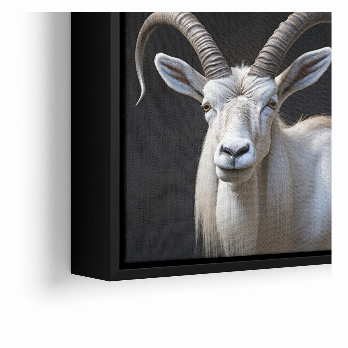 Majestic White Antelope Wildlife Art – Stunning Antelope Canvas Prints