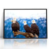 Captivating Birds of Prey Wall Art – Group of Bald Eagles Wildlife Print