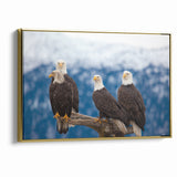 Captivating Birds of Prey Wall Art – Group of Bald Eagles Wildlife Print