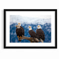Captivating Birds of Prey Wall Art – Group of Bald Eagles Wildlife Print