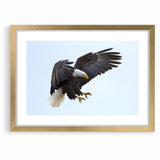 Dynamic Birds of Prey Wall Art – Bald Eagle Mid-Flight Canvas Print