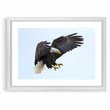 Dynamic Birds of Prey Wall Art – Bald Eagle Mid-Flight Canvas Print
