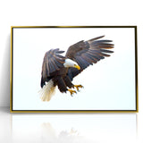 Dynamic Birds of Prey Wall Art – Bald Eagle Mid-Flight Canvas Print