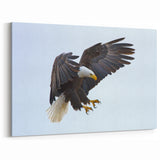 Dynamic Birds of Prey Wall Art – Bald Eagle Mid-Flight Canvas Print