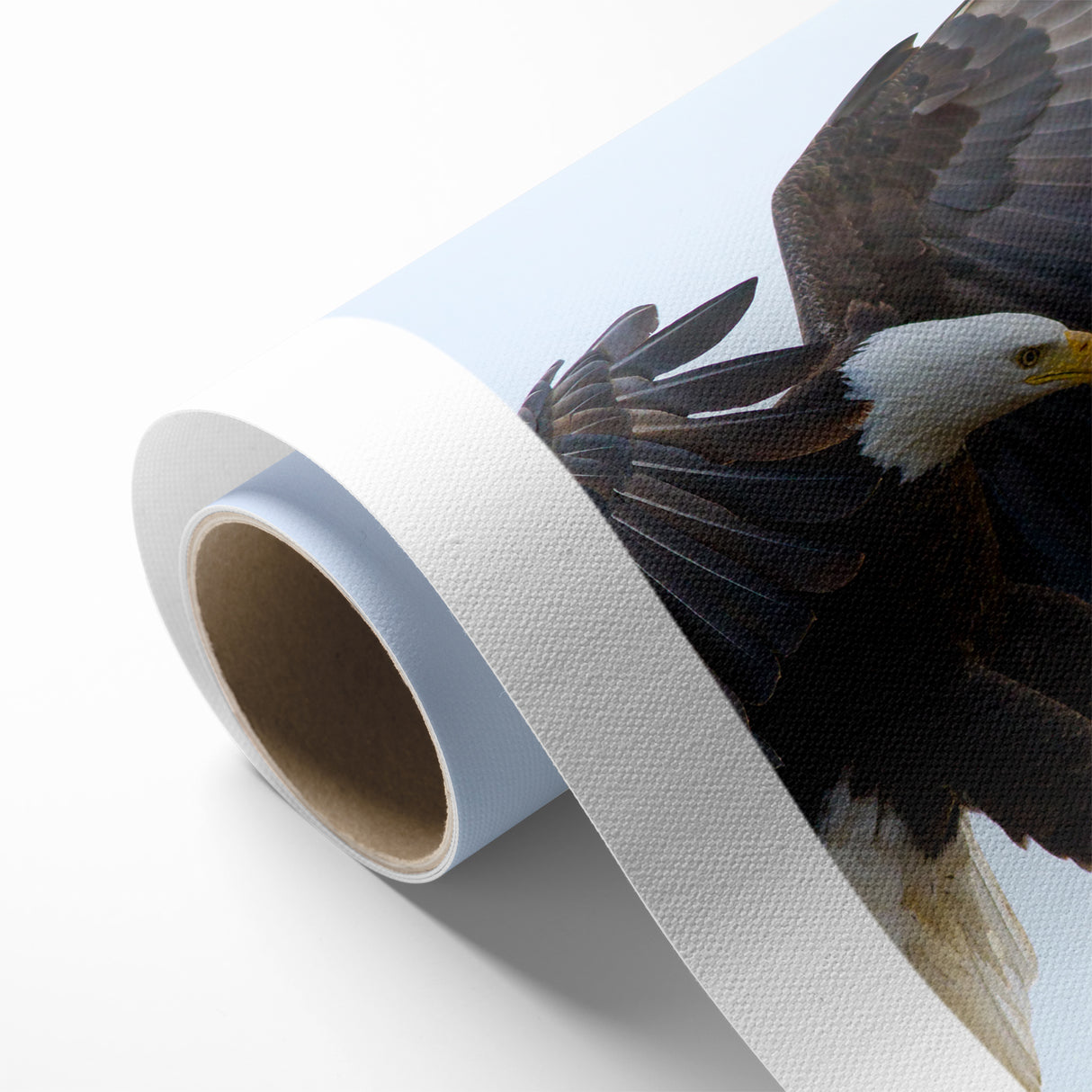 Dynamic Birds of Prey Wall Art – Bald Eagle Mid-Flight Canvas Print