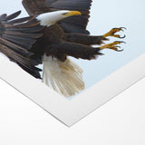 Dynamic Birds of Prey Wall Art – Bald Eagle Mid-Flight Canvas Print