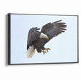 Dynamic Birds of Prey Wall Art – Bald Eagle Mid-Flight Canvas Print