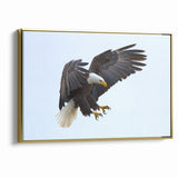 Dynamic Birds of Prey Wall Art – Bald Eagle Mid-Flight Canvas Print