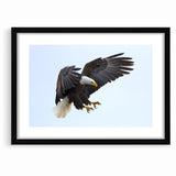 Dynamic Birds of Prey Wall Art – Bald Eagle Mid-Flight Canvas Print
