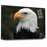 Regal Birds of Prey Wall Art – Bald Eagle Profile Canvas Print