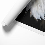 Regal Birds of Prey Wall Art – Bald Eagle Profile Canvas Print