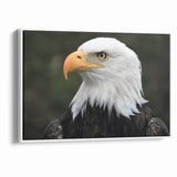 Regal Birds of Prey Wall Art – Bald Eagle Profile Canvas Print