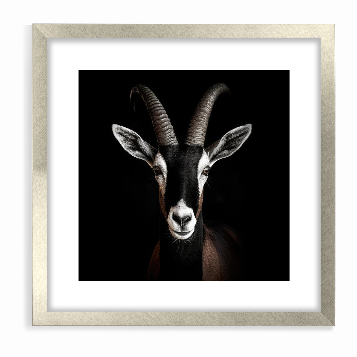 Elegant Black Antelope Wildlife Art – Captivating Antelope Canvas Prints