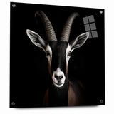 Elegant Black Antelope Wildlife Art – Captivating Antelope Canvas Prints