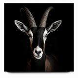 Elegant Black Antelope Wildlife Art – Captivating Antelope Canvas Prints