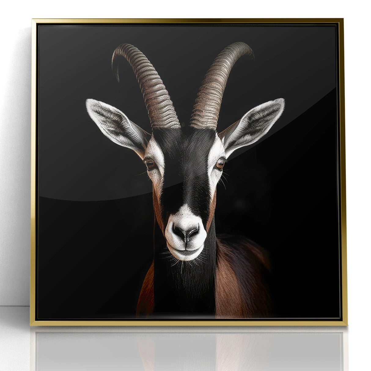 Elegant Black Antelope Wildlife Art – Captivating Antelope Canvas Prints