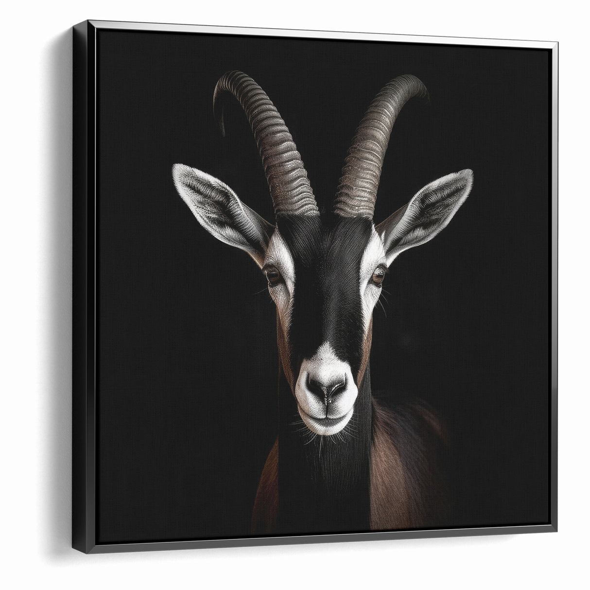 Elegant Black Antelope Wildlife Art – Captivating Antelope Canvas Prints