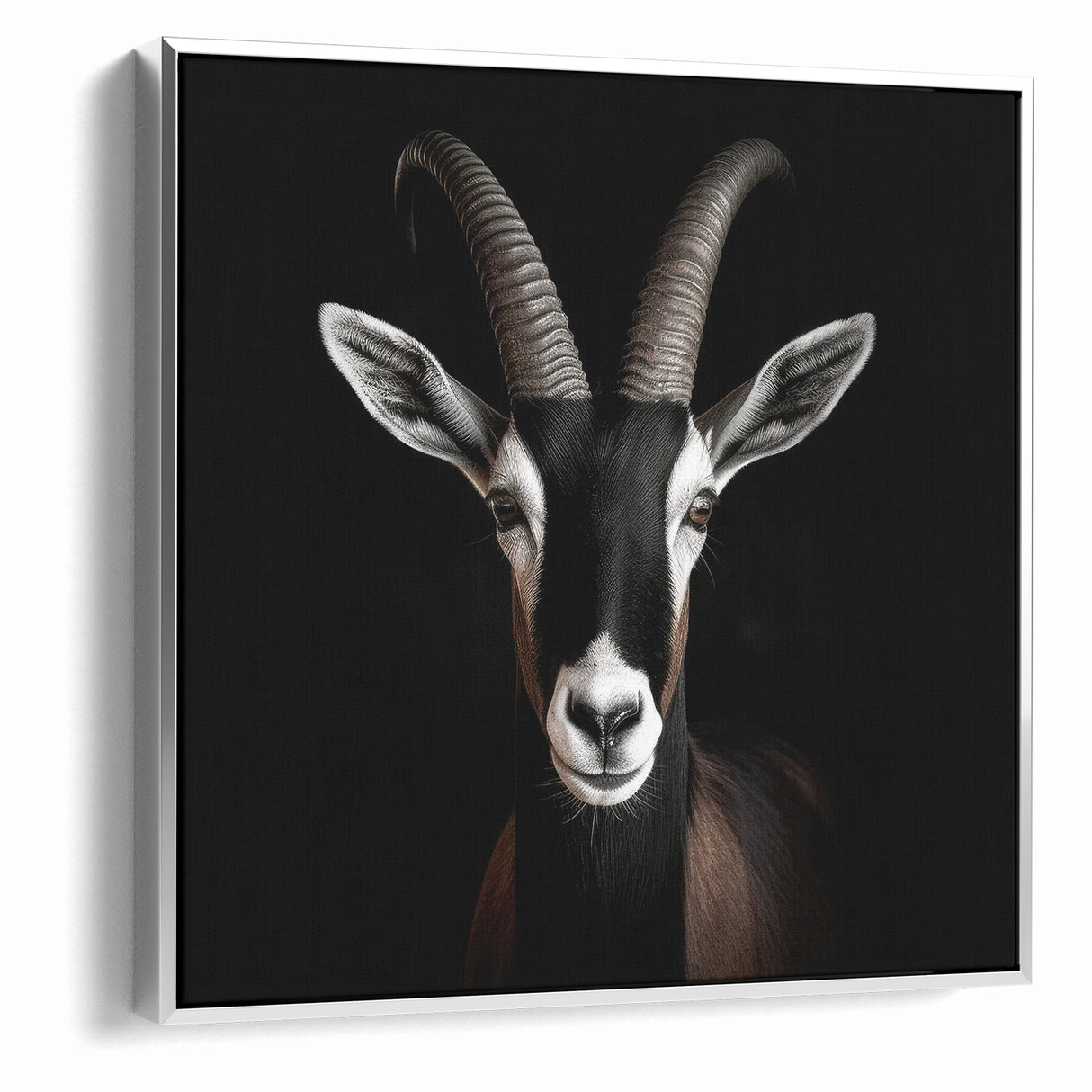 Elegant Black Antelope Wildlife Art – Captivating Antelope Canvas Prints