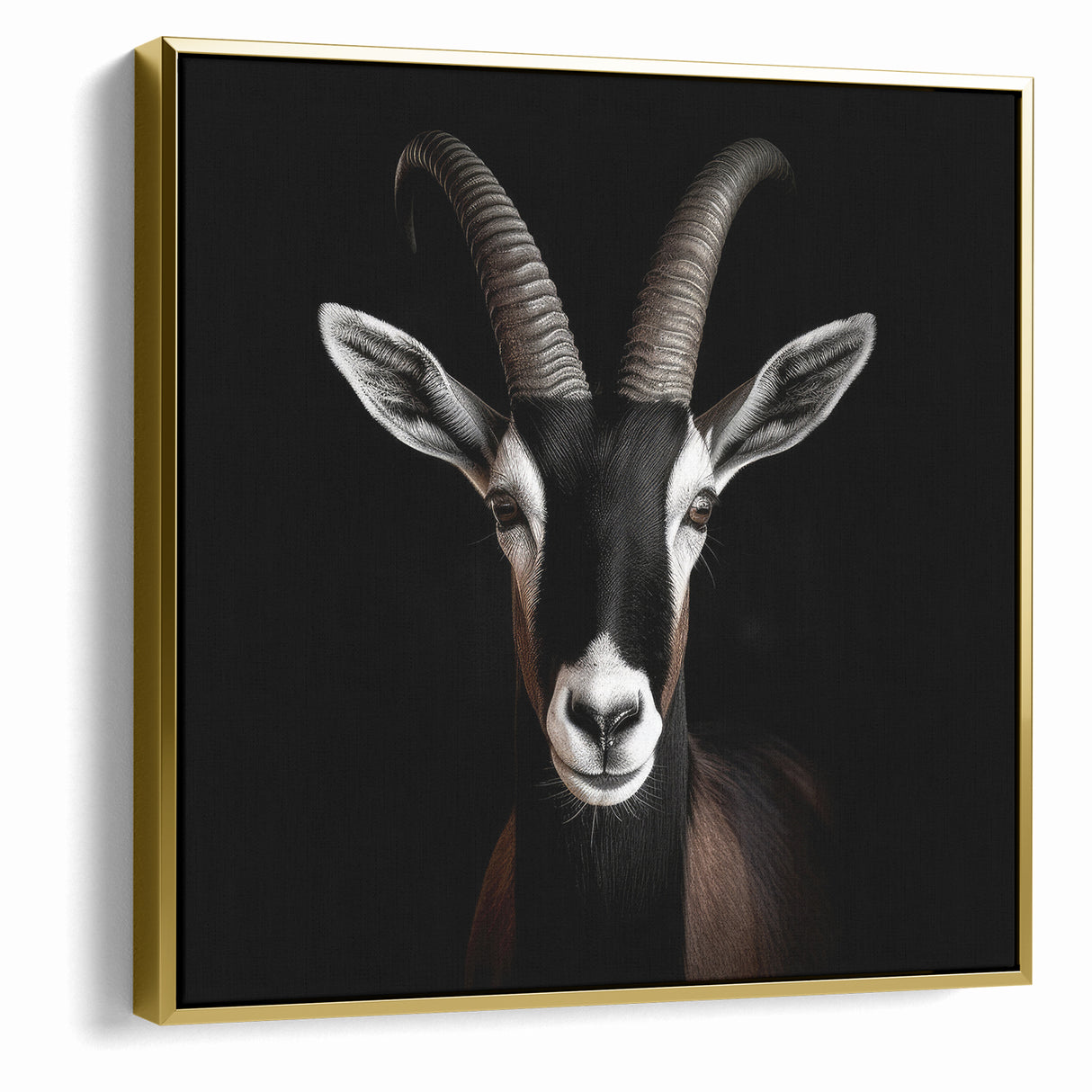 Elegant Black Antelope Wildlife Art – Captivating Antelope Canvas Prints