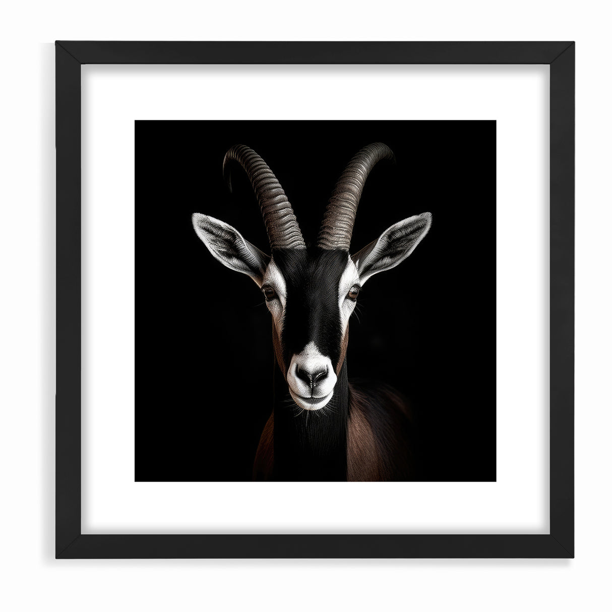 Elegant Black Antelope Wildlife Art – Captivating Antelope Canvas Prints