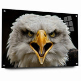 Fierce Birds of Prey Wall Art – Bald Eagle Screaming Canvas Print
