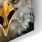 Fierce Birds of Prey Wall Art – Bald Eagle Screaming Canvas Print