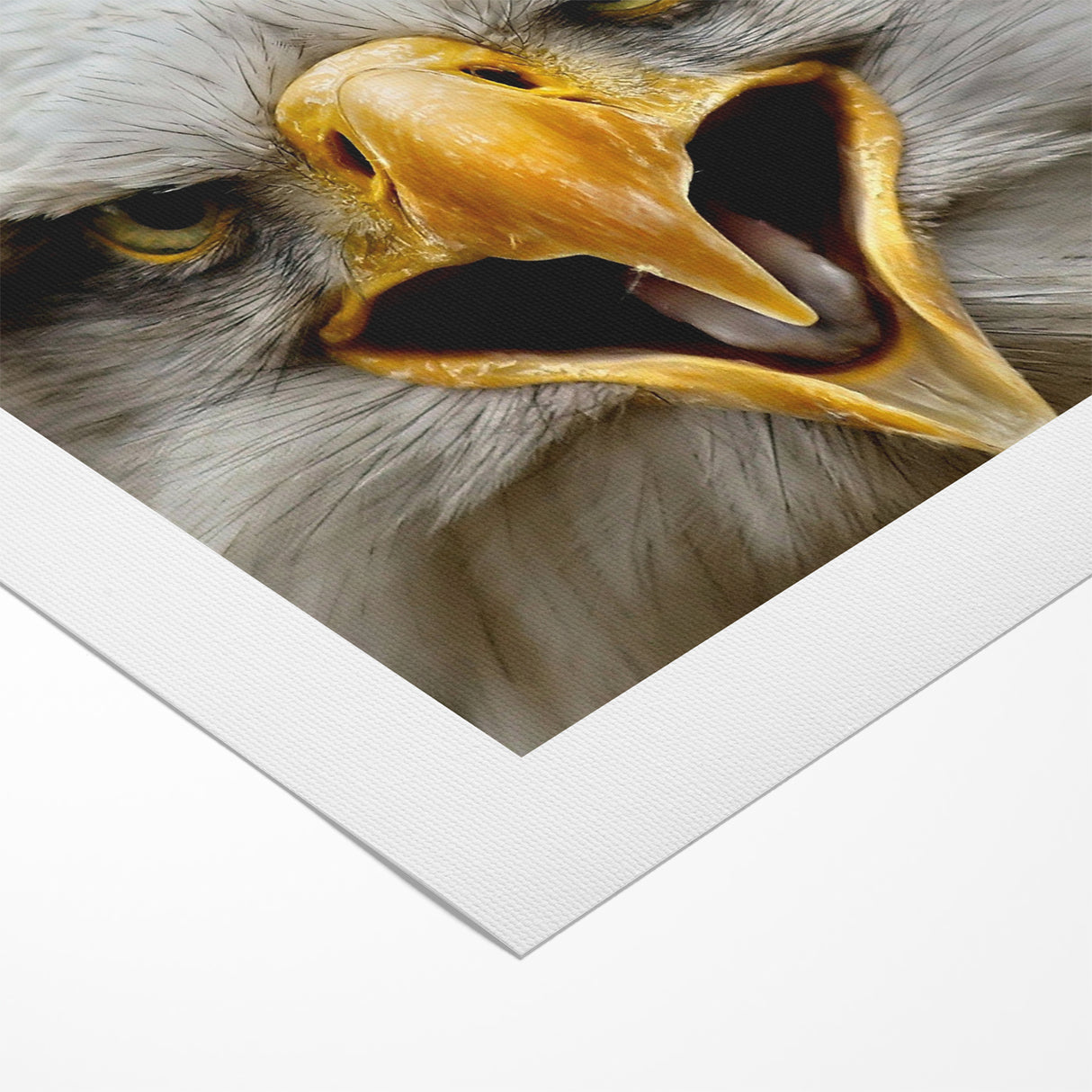 Fierce Birds of Prey Wall Art – Bald Eagle Screaming Canvas Print