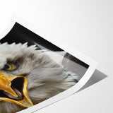 Fierce Birds of Prey Wall Art – Bald Eagle Screaming Canvas Print