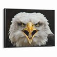 Fierce Birds of Prey Wall Art – Bald Eagle Screaming Canvas Print