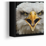 Fierce Birds of Prey Wall Art – Bald Eagle Screaming Canvas Print