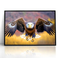 Majestic Birds of Prey Wall Art – Bald Eagle in Flight Canvas Print