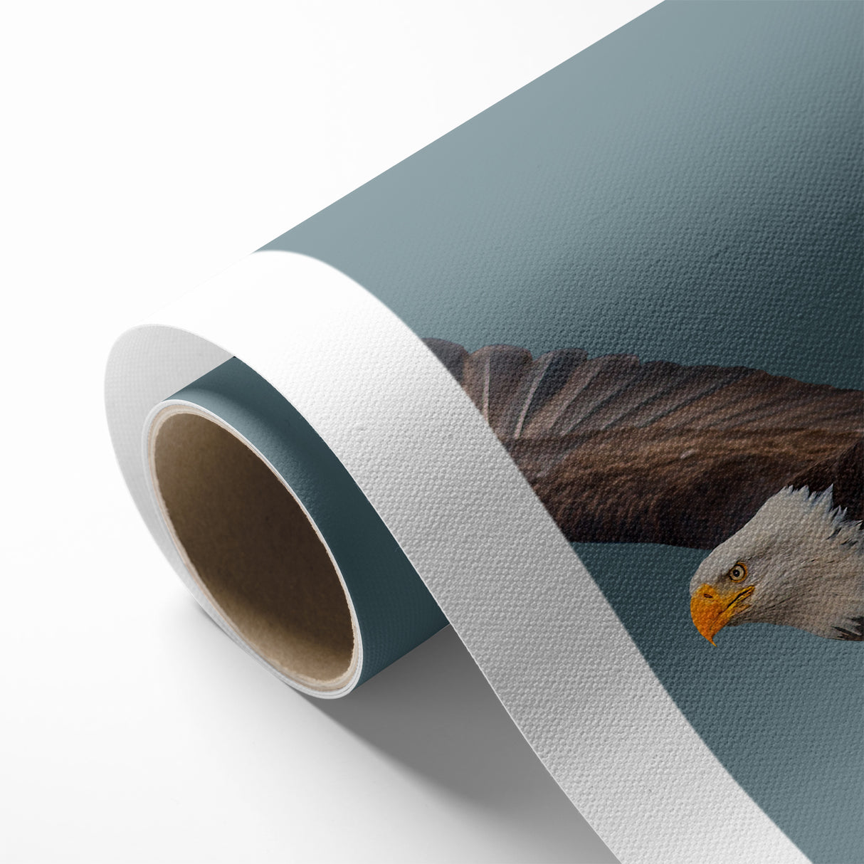 Graceful Birds of Prey Wall Art – Bald Eagle in Flight Canvas Print