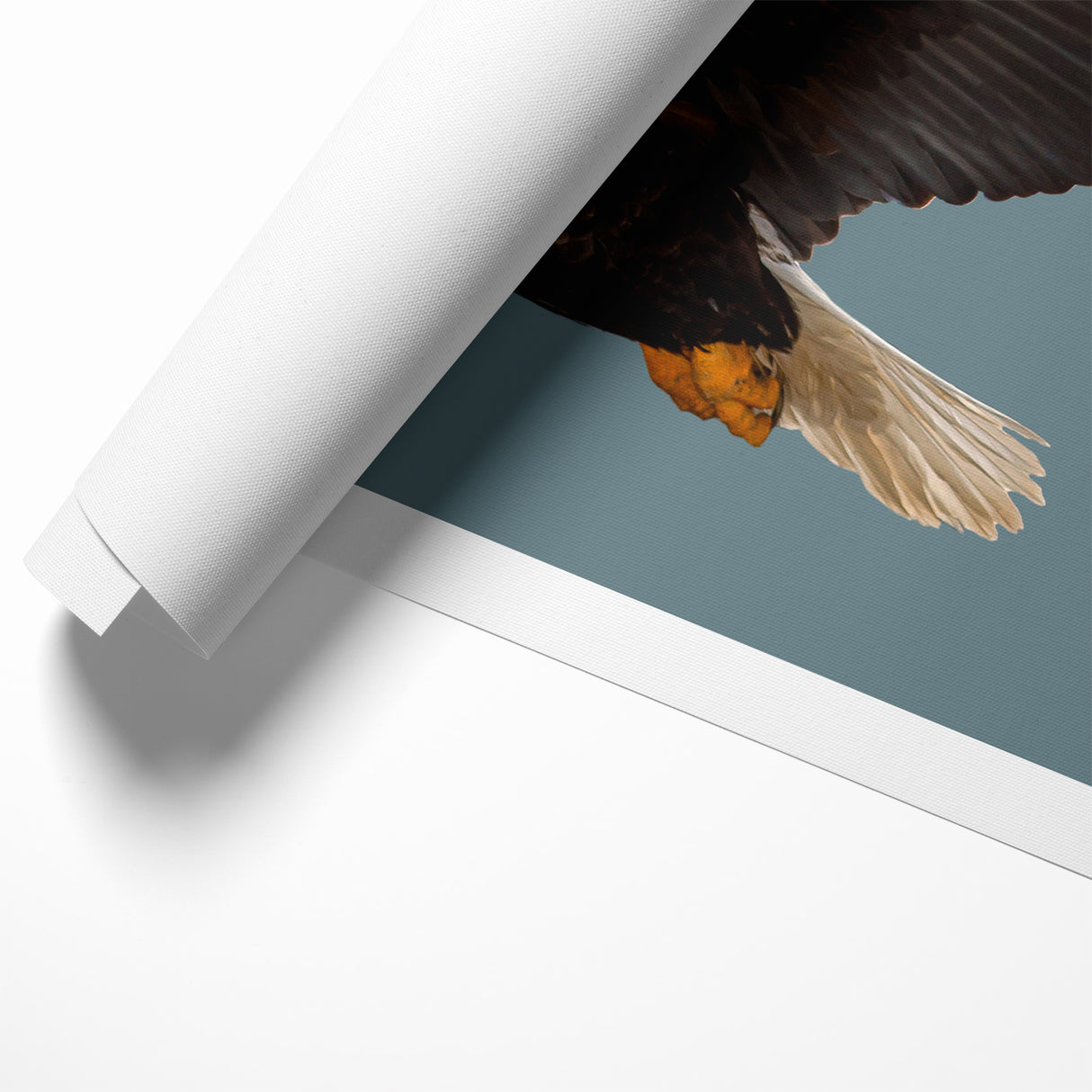 Graceful Birds of Prey Wall Art – Bald Eagle in Flight Canvas Print