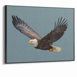 Graceful Birds of Prey Wall Art – Bald Eagle in Flight Canvas Print