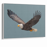 Graceful Birds of Prey Wall Art – Bald Eagle in Flight Canvas Print