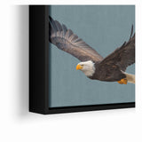 Graceful Birds of Prey Wall Art – Bald Eagle in Flight Canvas Print