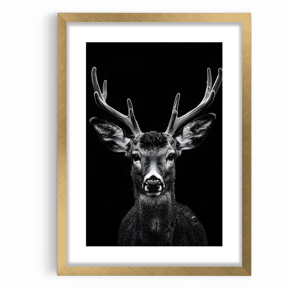 Striking Black Antelope Portrait – Majestic Wildlife Canvas Prints