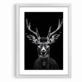 Striking Black Antelope Portrait – Majestic Wildlife Canvas Prints