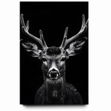 Striking Black Antelope Portrait – Majestic Wildlife Canvas Prints