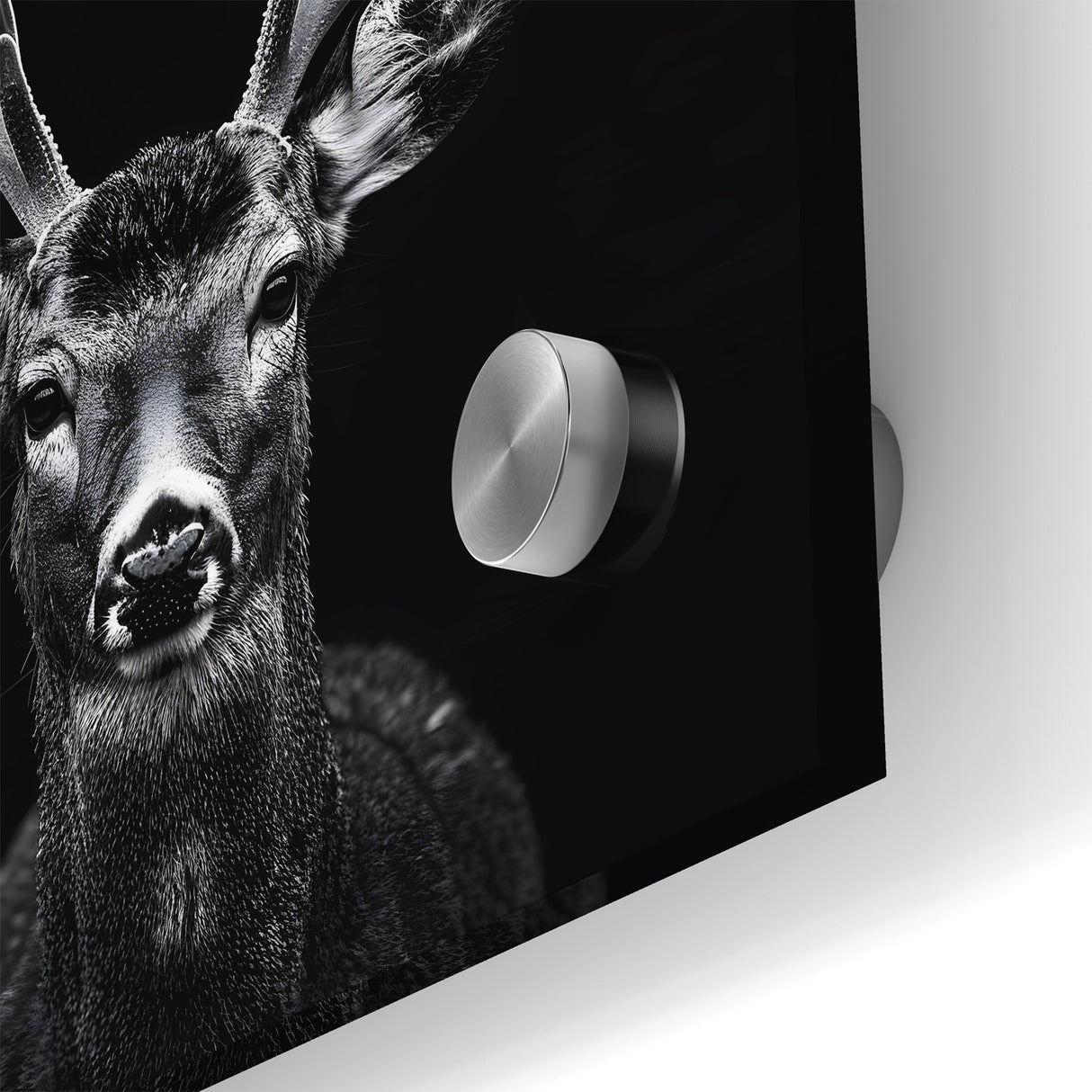 Striking Black Antelope Portrait – Majestic Wildlife Canvas Prints