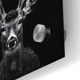 Striking Black Antelope Portrait – Majestic Wildlife Canvas Prints