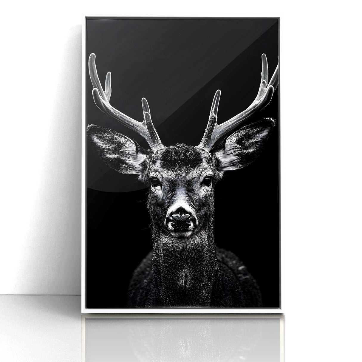 Striking Black Antelope Portrait – Majestic Wildlife Canvas Prints