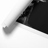 Striking Black Antelope Portrait – Majestic Wildlife Canvas Prints