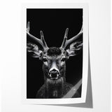 Striking Black Antelope Portrait – Majestic Wildlife Canvas Prints