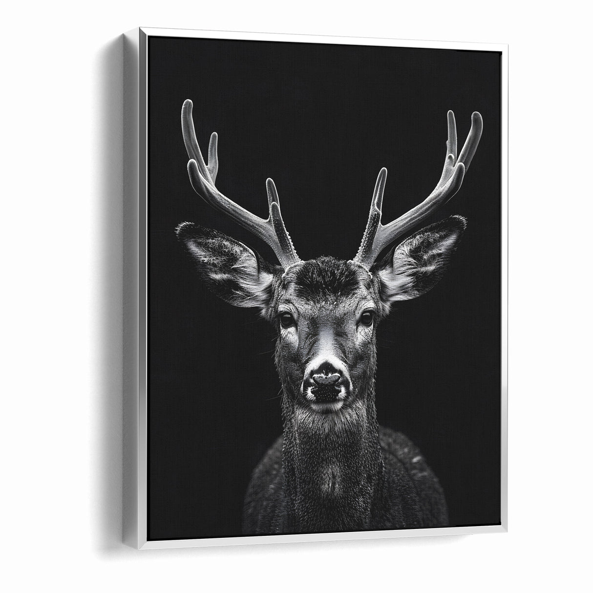 Striking Black Antelope Portrait – Majestic Wildlife Canvas Prints