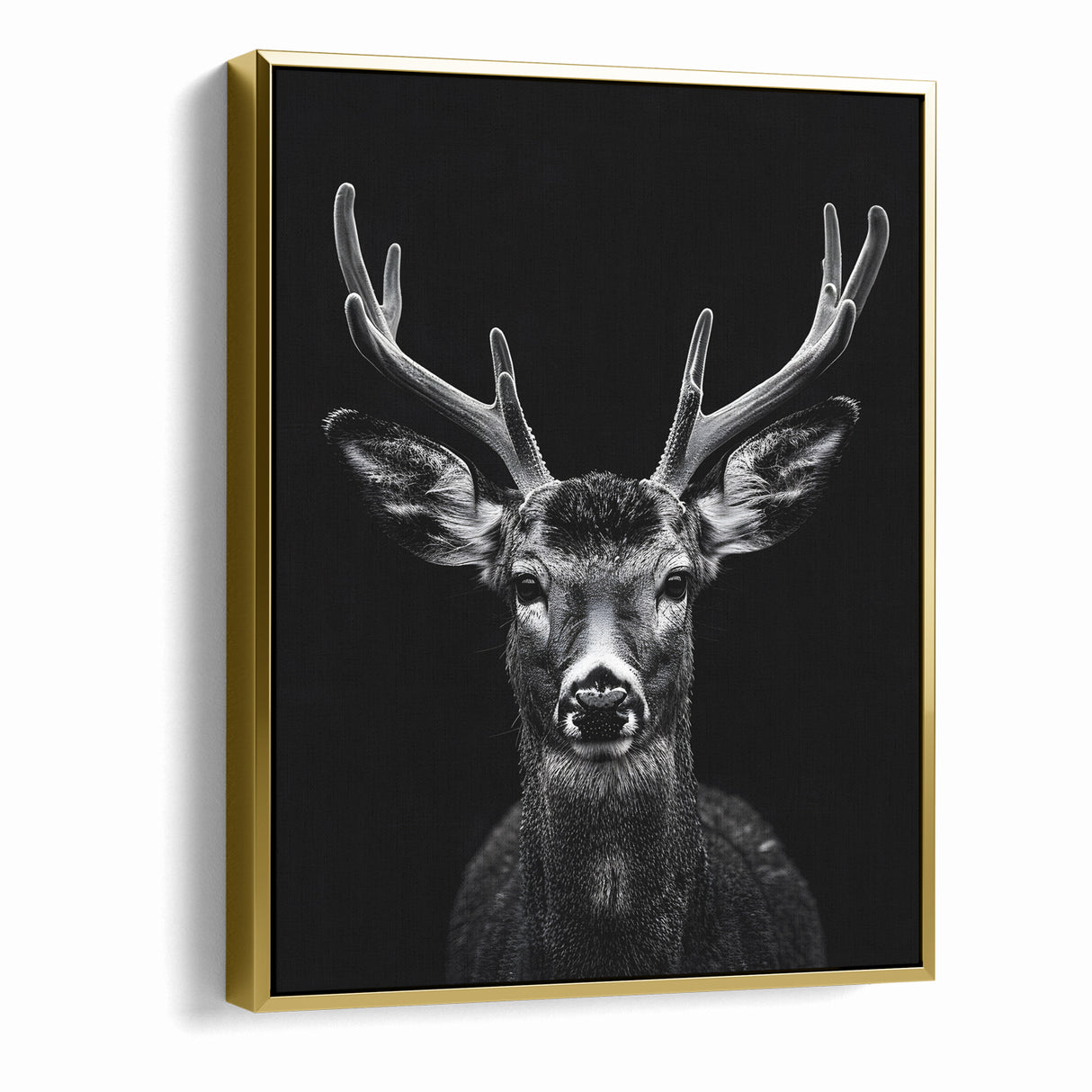 Striking Black Antelope Portrait – Majestic Wildlife Canvas Prints
