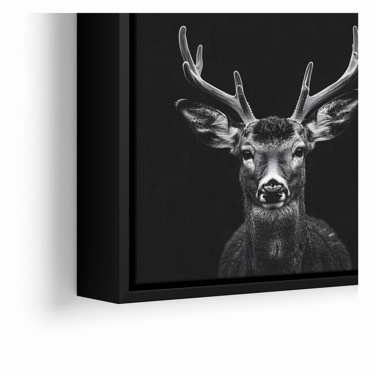 Striking Black Antelope Portrait – Majestic Wildlife Canvas Prints