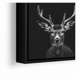 Striking Black Antelope Portrait – Majestic Wildlife Canvas Prints