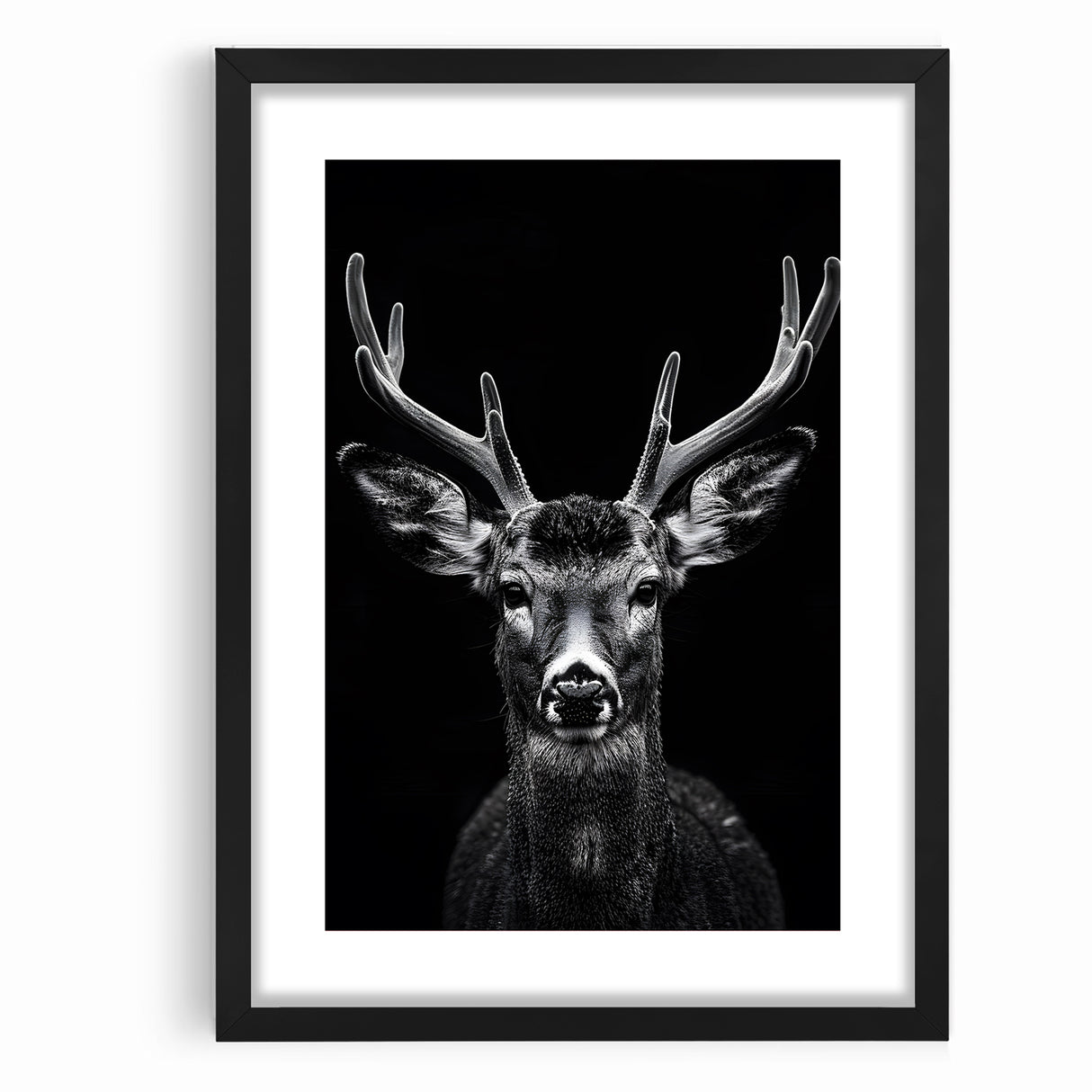 Striking Black Antelope Portrait – Majestic Wildlife Canvas Prints