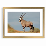 Majestic Antelope in the Wild – Graceful African Wildlife Canvas Art